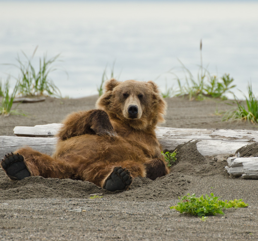 Nature's Best: Alaska