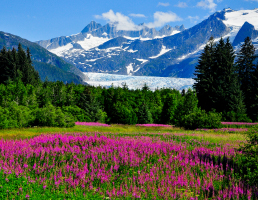 Juneau, Alaska