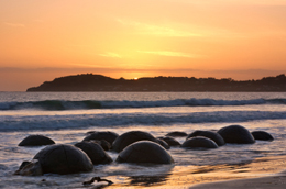 Australia & New Zealand