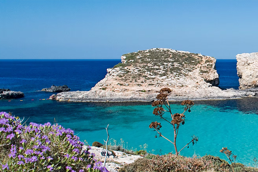 Mediterranean