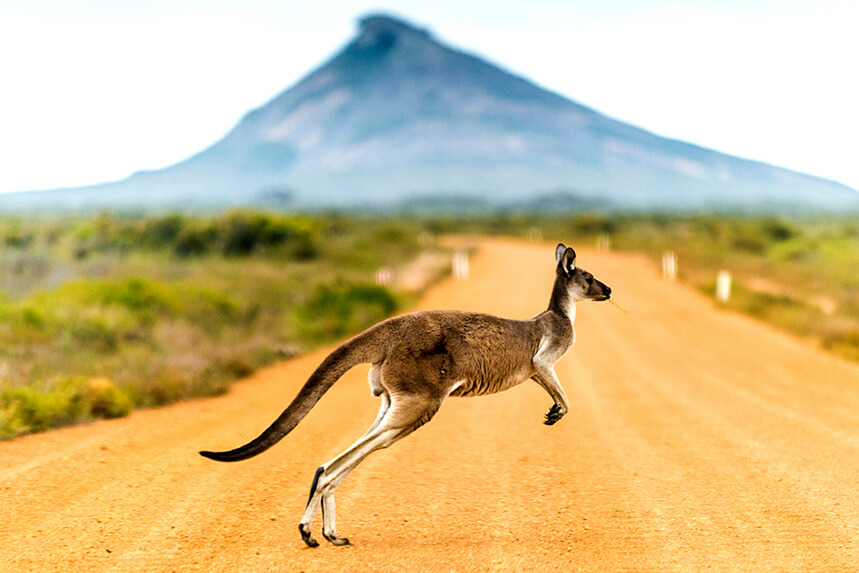 Australia and New Zealand