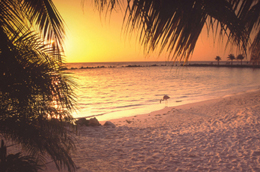 Caribbean