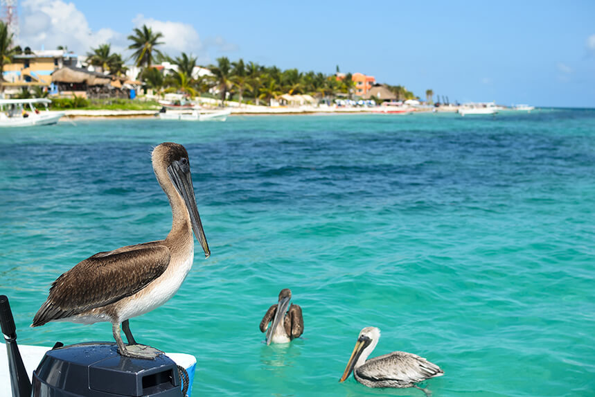 Mexico