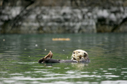 Alaska